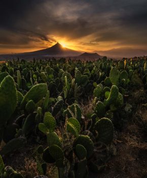 La Nopalera y el Popocatepetl